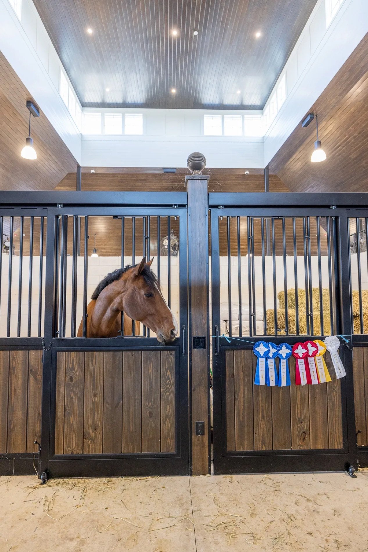 Horse in a permanent stall with championship ribbons at TerraNova