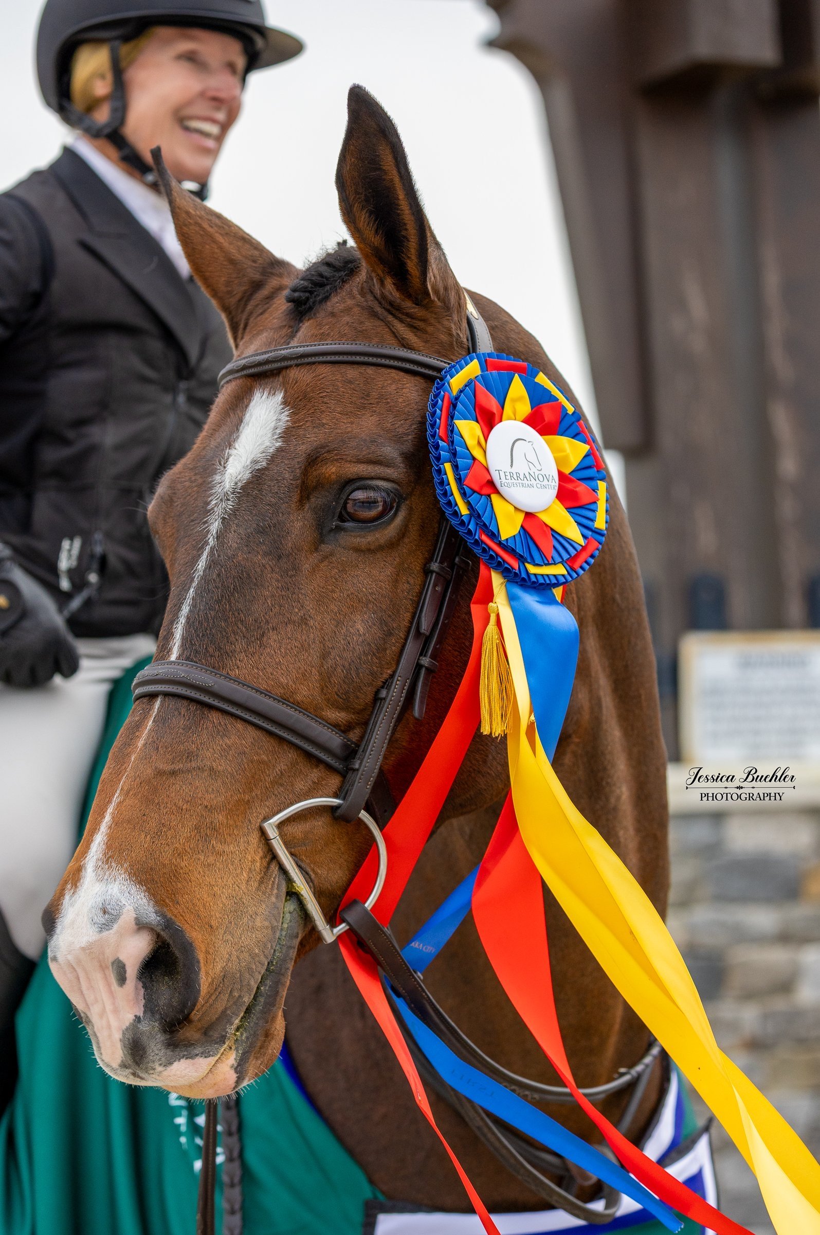 Champion ribbons at the TerraNova Winter Series