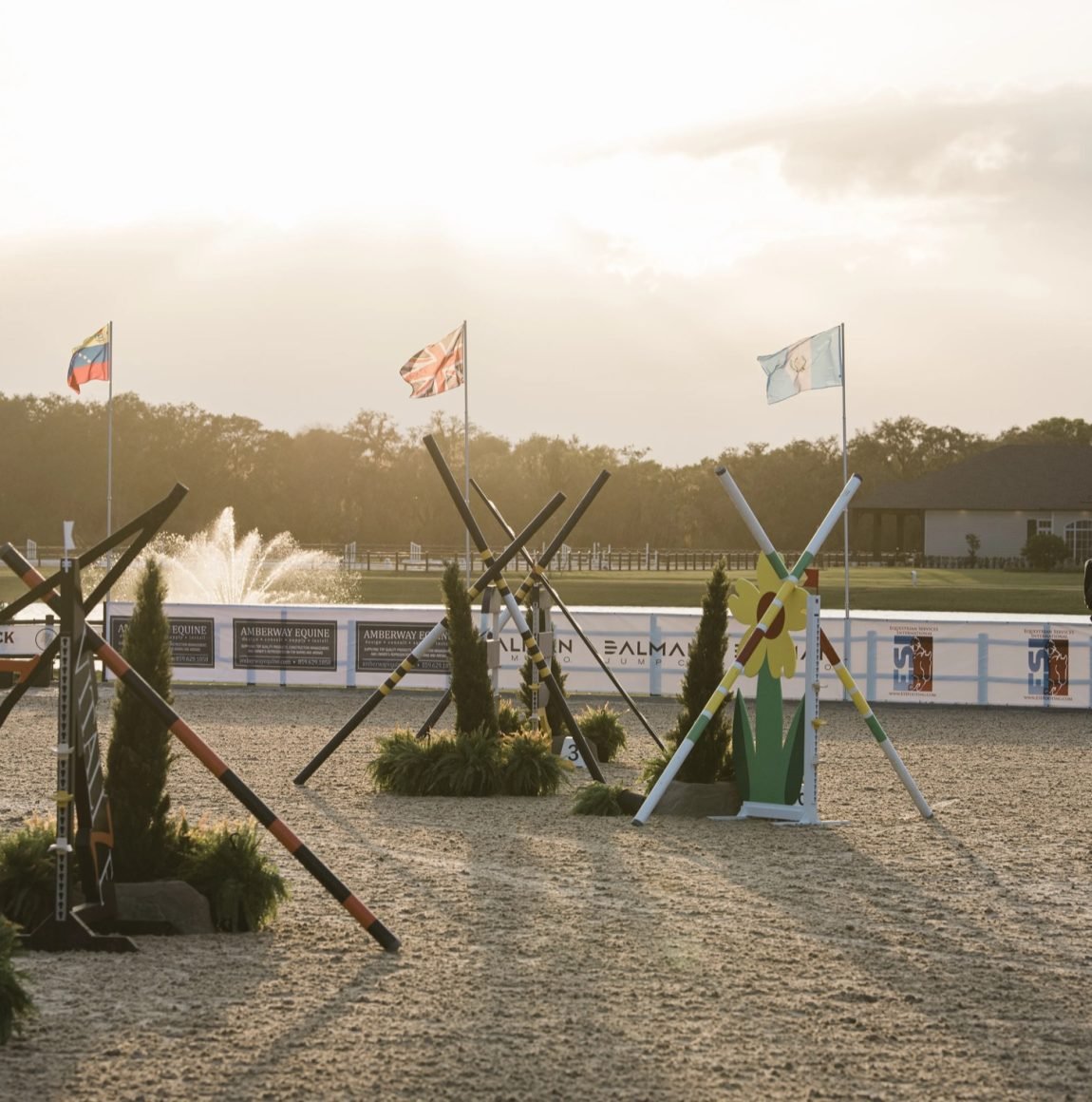 All-weather arena at sunset with international flags at TerraNova Equestrian Center